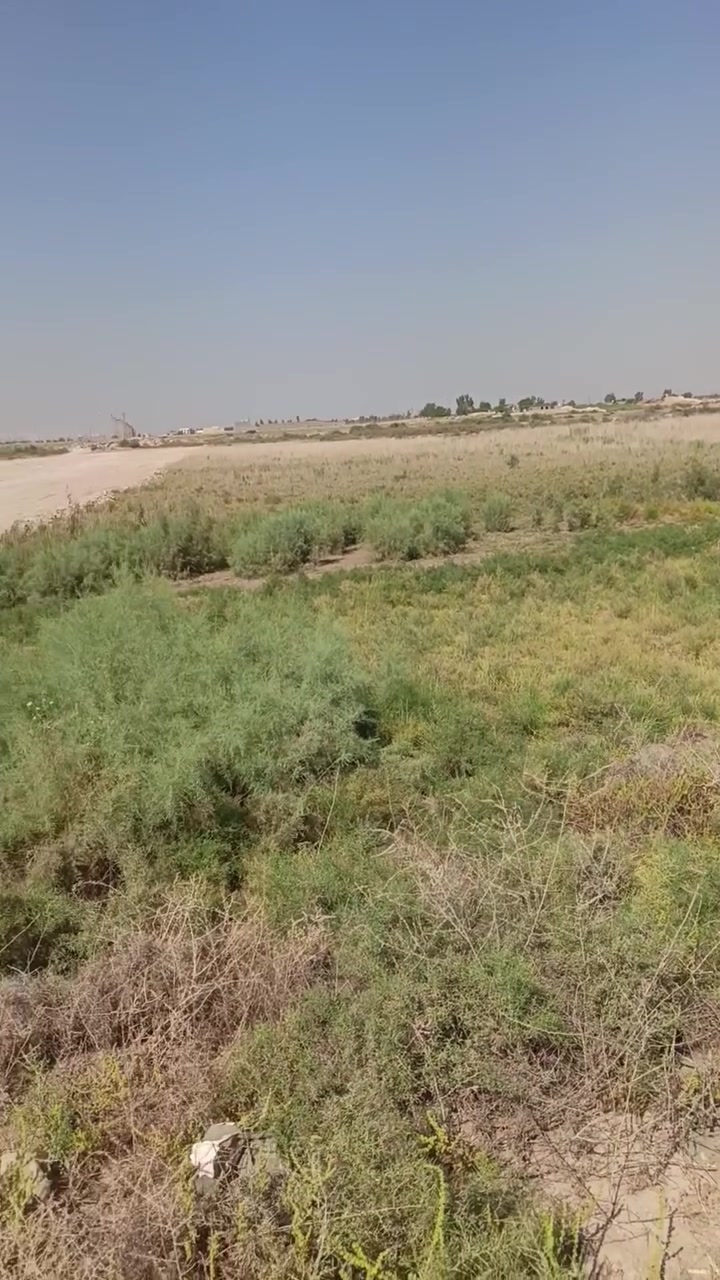 السلام عليكم ٧ دوانم للبيع طابو سند ٢٥ تحويل مباشر 
فلوجه النعيمية صايره ع نهر مباشر ***********
