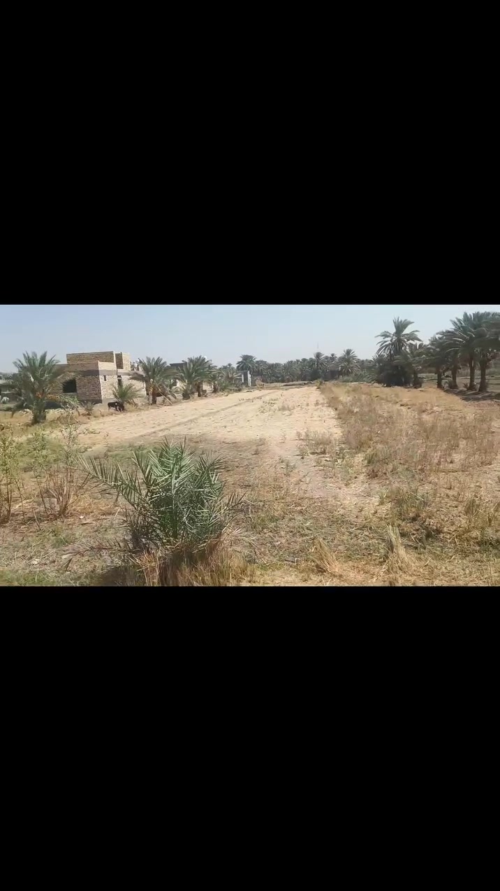 السلام عليكم ارض 1دونم واجه21متر طابو زراعي سند 25
ونزال تقريبا 165 

متوفر بيها كافه الخدمات شارع 10متر مي سقي ماء اساله بوري بدايه الارض ابو 4انج كهرباء قريبه منها 

تبعد عن التبليط 500متر 

وتبعد عن المدرسه 500متر  

بيوت سكنيه بصفها مايقارب 15بيت تصلح سكن أو زراعه أو مزرعه مكانها كلش مرتب  

العنوان ابي غرق بزل حجي علي قريبه من تقسيمات مال شارع الرسول 

للاستفسار الاتصال ***********

