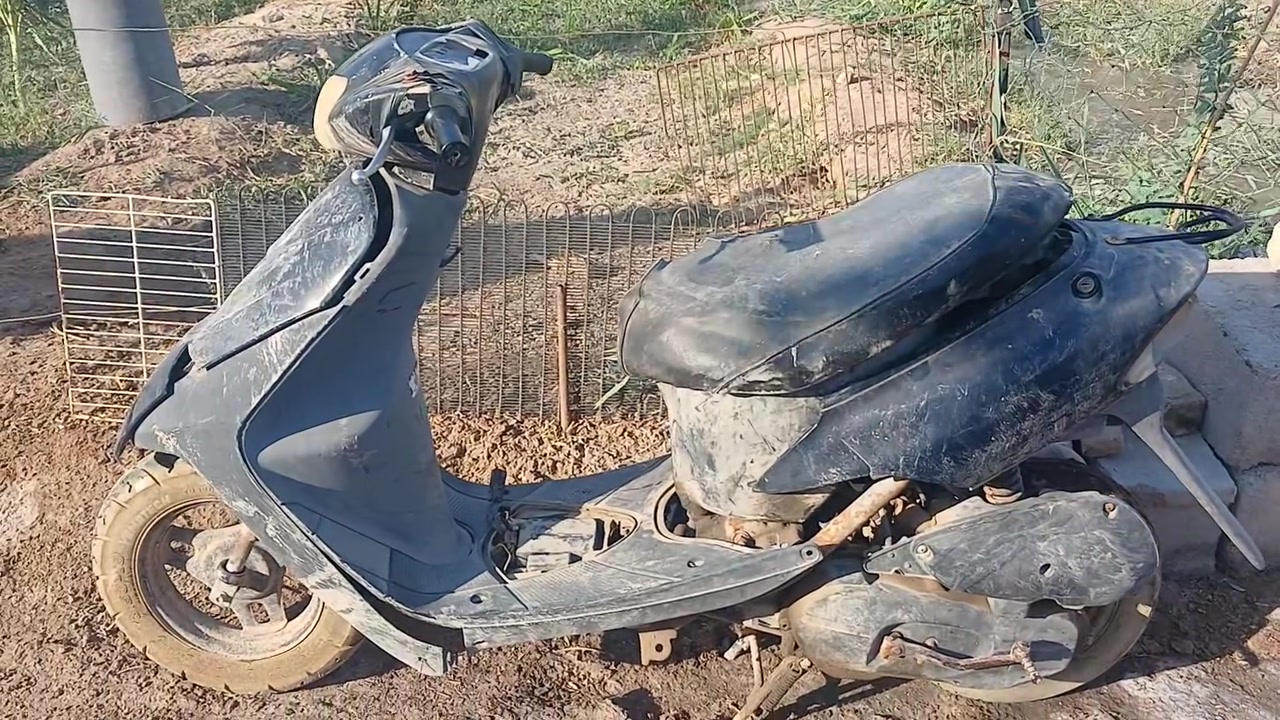 رقم الهاتف  ***********
