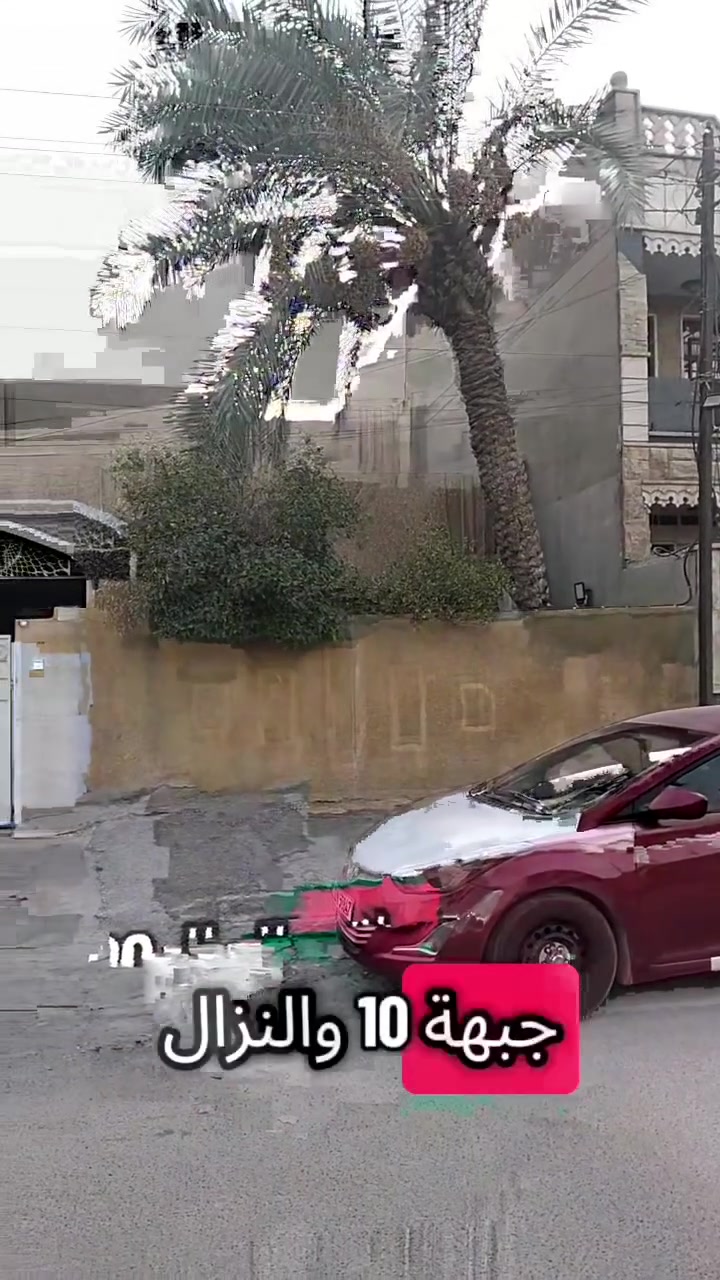 الطالبية • ٢٠٠م² • فرصة استثمارية