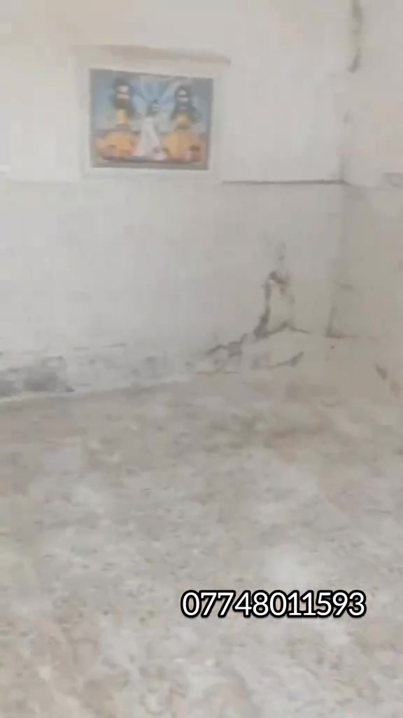 نص قطعه 72 متر قطاع 29 مريدي سوق الطباخات بناء جديد طابقين ((للايجار للايجار)) شرط الايجار لو موظف لو منتسب البيت كله سيراميك ***********أبو ياسين هاذه رقم صاحب لبيت واذا تريد شوف لبيت هاذه رقم دلال مكتب الرحمان *********** عذرن غير موجود على نت خابر
