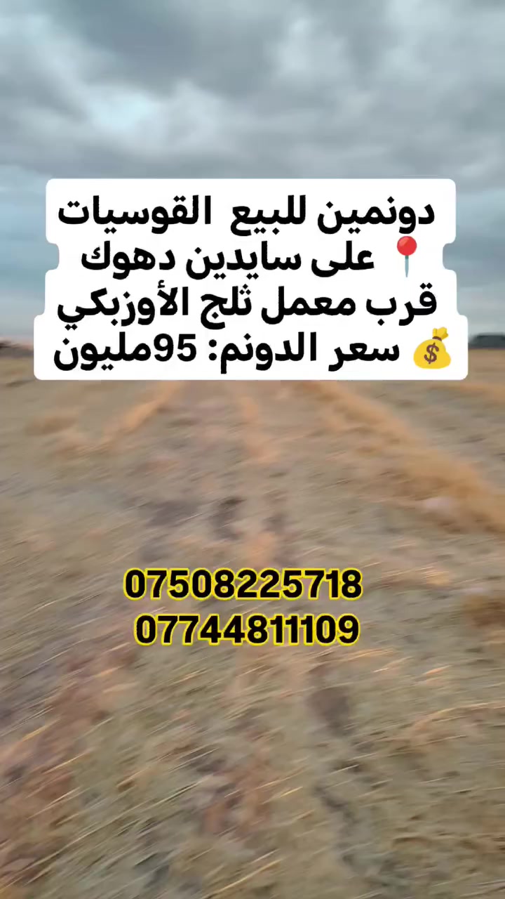 القوسيات • سايدين • مساحة ٢
