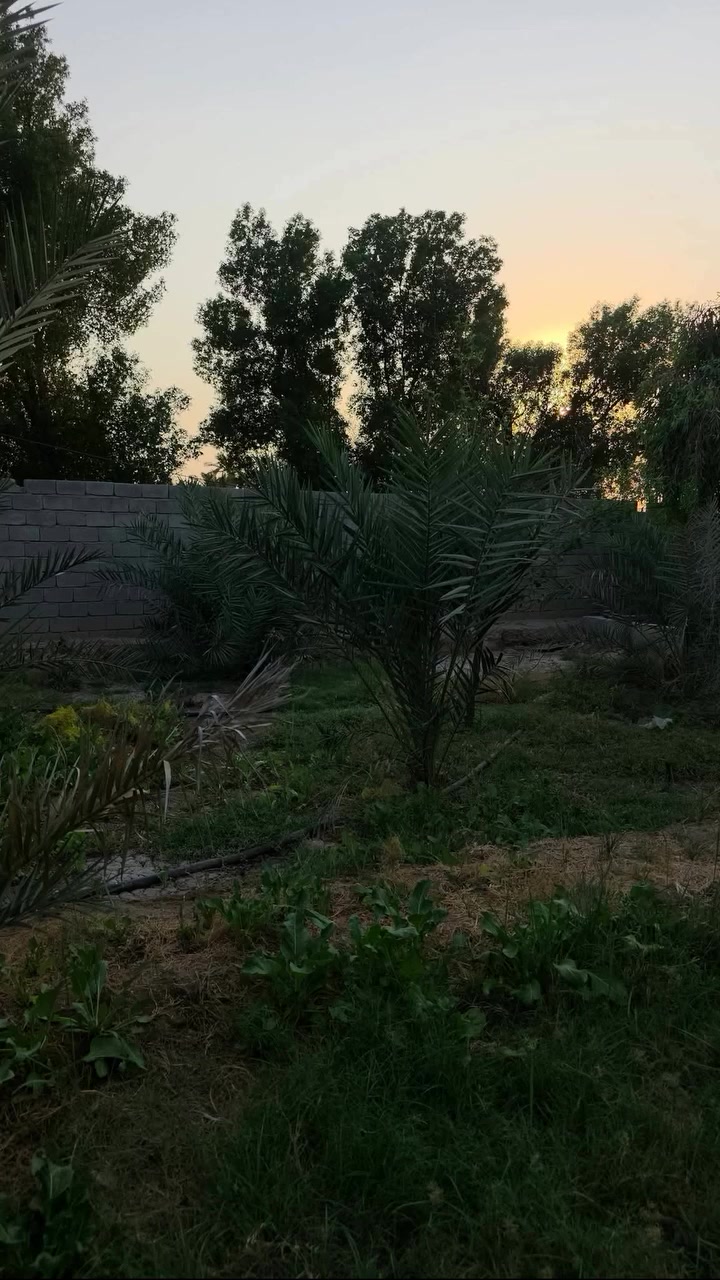 وقف سني • ١١٠م • طريق الوسطي
