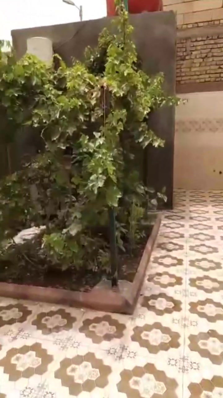 بيت للبيع  زراعي طابو اسهم  بوابه المنصوريه قرب أفران الكراده قريب على الشارع الرئيسي بيت كامل ديوانيه ومطبخ واستقبال وغرفتين ومناور وصحيات داخليه وخارجيه بناء جديد مساحته ٢٤٠م سعر 250 وبيه مجال ***********
