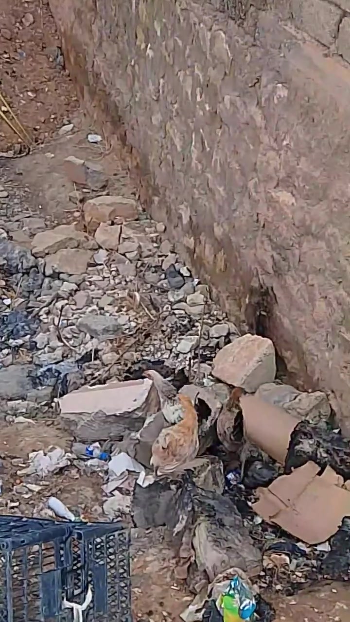 للبيع • خدمات • تواصل