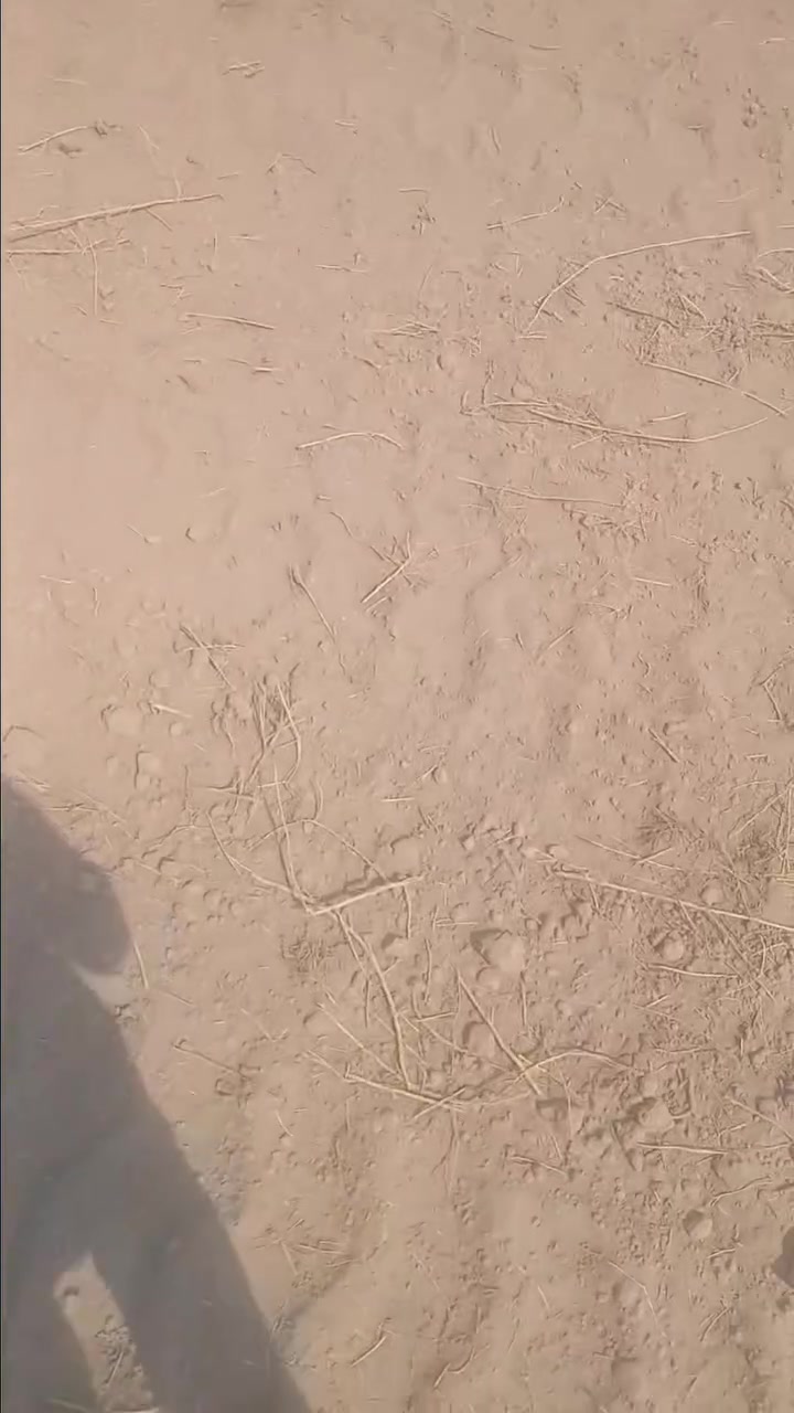 السلام عليكم ٥ دوانم واقع حال ٥ونص دونم طابو زراعي سند ٢٥بالصويره منطقة الرحمانيه تحويل مباشر تبعد عن الشط ٢كيلو وعن المدرسه والتبليط أيضآ ٢كيلو الأرض بيها بير ماء ارتوازي وماطور سقي صالحه لزراعة وجاهزه سعر الدونم الواحد ٦ملايين للاستفسار أكثر الأتصال على الرقم ***********او واتساب
