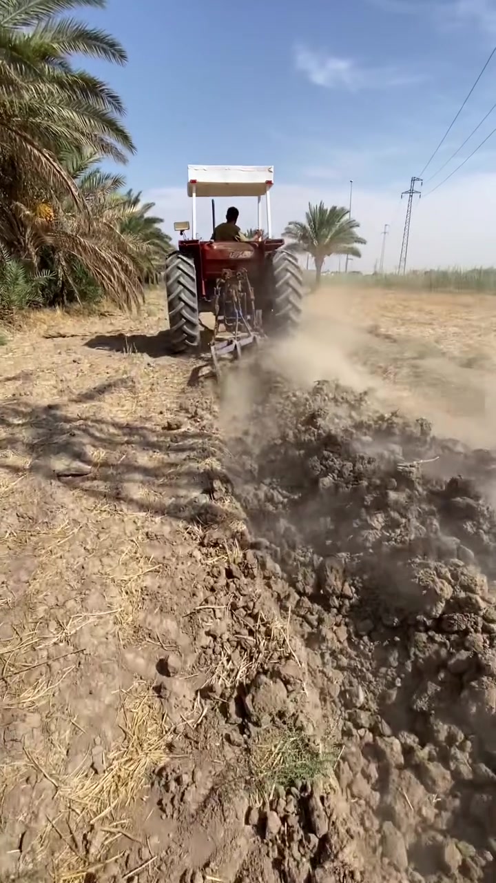 السلام عليكم للبيع فدان حجم ١٠ حدادي فدان ضيف كلش وهذا الكراب كدامك سعره مناسب عنواني الحله ناحيه النيل شراي خابرني وتدلل ‭***********‬
