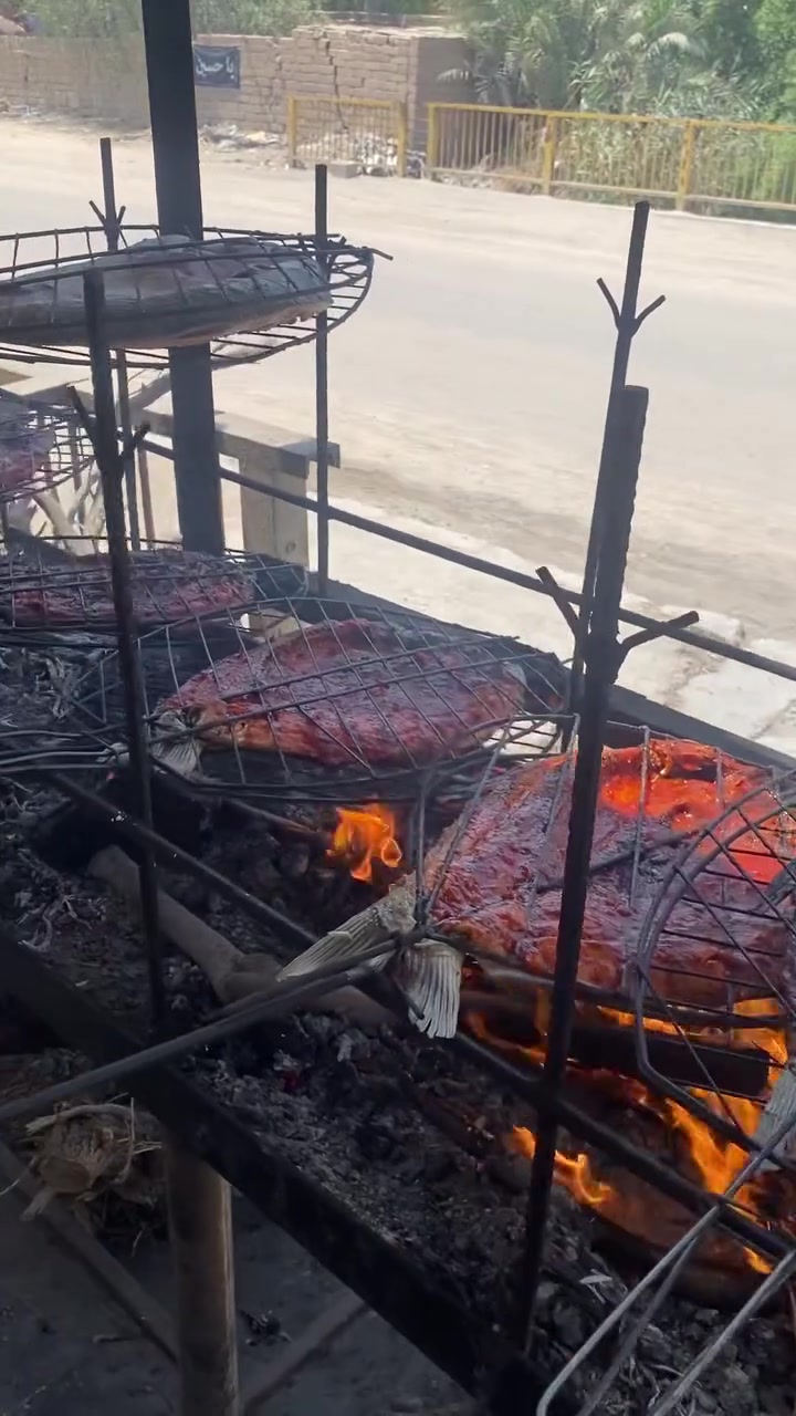 مشواية سمك مستخدمه قليل ونضيفه حديد ثقيل 
السعر ٤٥٠ الف 
بيها مجال مكاني بصره 
‭***********‬

