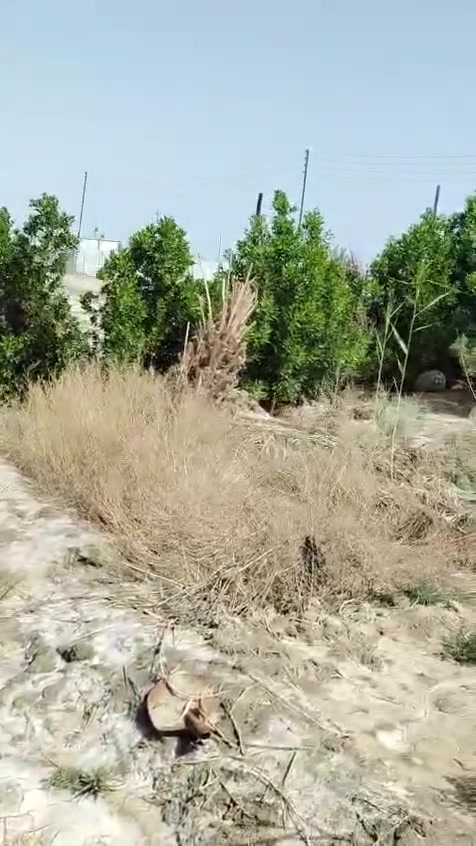 مزرعه للبيع نص دونم حي جوادين نزله ثانيه ورا النهر بكاع دكتور خالد 
مجهزه ماء وكهرباء شارع سبيس 
سعر 27 وبيها مجال للطيبين 
***********

