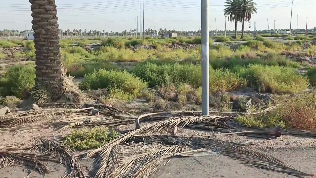 يا الله عرض مميز
سلام عليكم بسعر مناسب 
600متر طابو زراعي سند 25 تحويل مباشر
الوجها 30والنزال 20
تريد 200متر نبيع تريد 400متر هم نبيع 
خدمات كامله تبليط ماء اساله كهرباء 
تصير سكن او استثمار 
سكن موجود يمك 
التفاصيل أكثر بالفيديو 
العنوان حله التاجيه خلف جامعة المستقبل 
موقع مرتب كلش 
السعر والتفاصيل أكثر خاص او الاتصال على الارقام او المراجعه مكتب الرحمن حله شارع 100 
#ملاحظة# لمن يرغب في
 عرض عقار او ارضه طابو صرف او طابو زراعي عليه مراسلتنا او الإتصال
***********
***********
