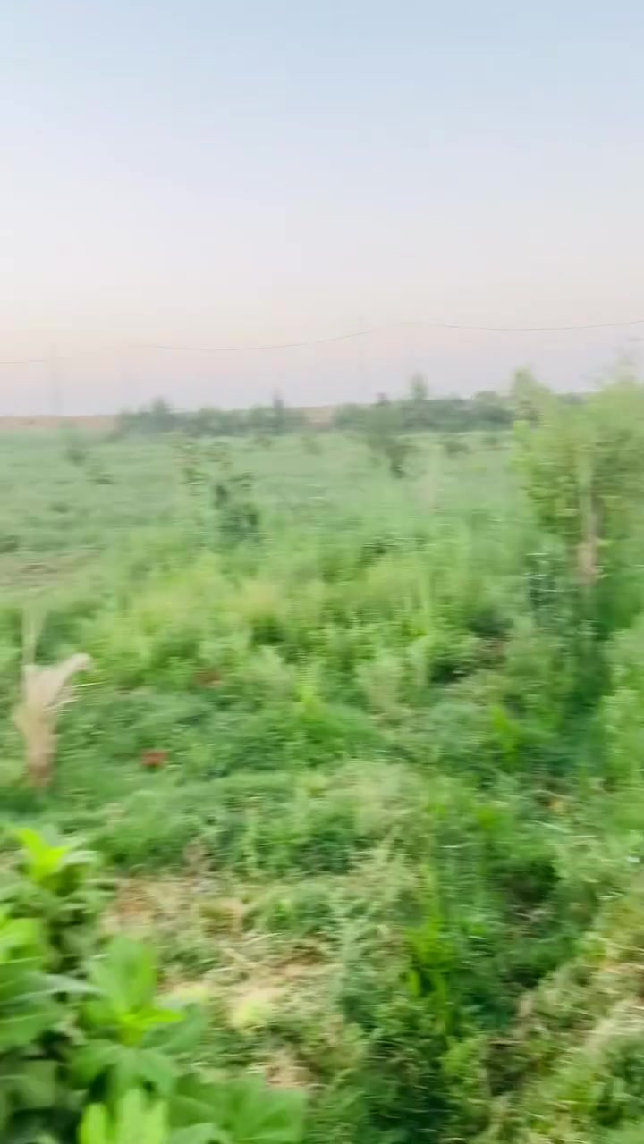 ارض زراعيه 2دونم للبيع على الشط مباشره واجه 47 ونزال 107 ماي كهرباء متوفره مكانها نزله الشريف جهه الطاقه  
اليحب يستفسر يتصل 
***********
