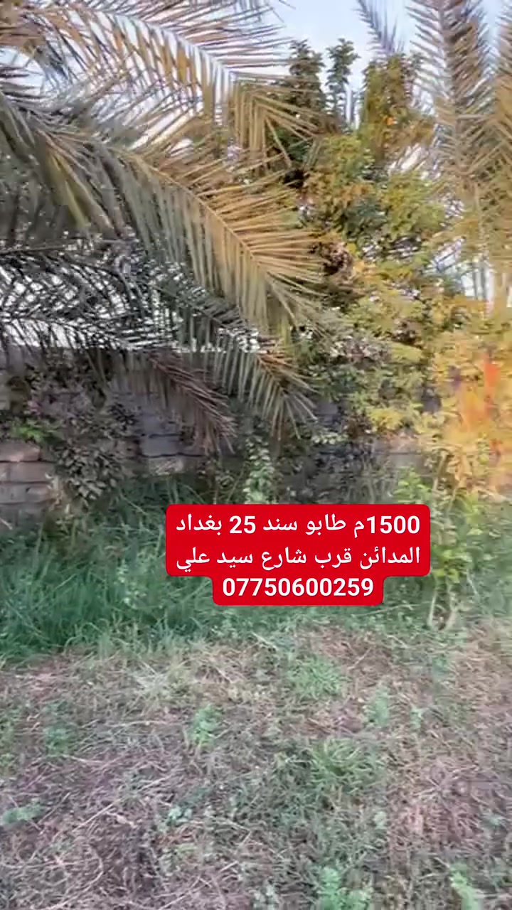 يا الله 
السلام عليكم 
#1500متر طابو سند 25 العنوان #بغداد #المدائن قرب شارع سيد واجهه 45م على شارعين الاستفسار #الاتصال ***********
