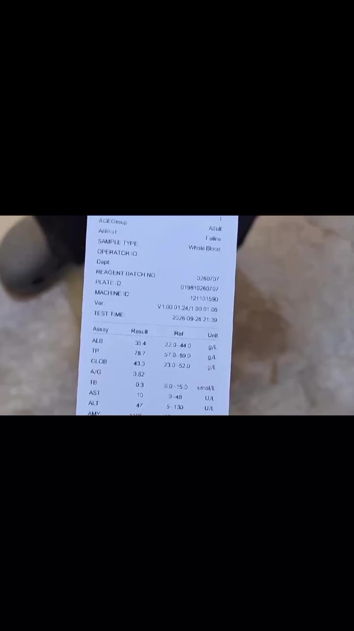 عيادة شوكا وروزة • طبيب بيطري • حي القادسية
