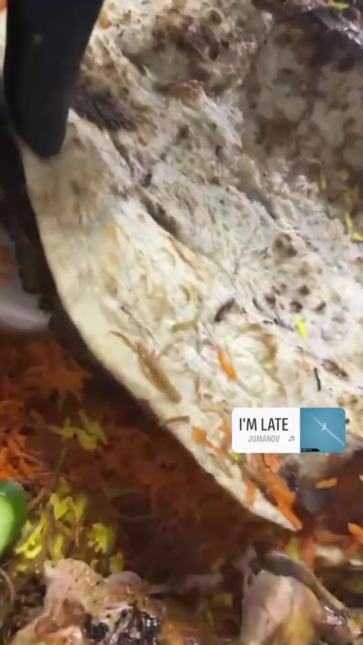 إذا تريد شوي يرد الروح... 🔥🐟
لا تفكر هواي، خلي الغداء او العشاء علينا #مسكوف مشوي على حطب الفواكه بطعم يفتح النفس!
اطلبها الان عبر واتساب # وتطبيق اوردراتي 👇
*********** متوفر واتساب
موقعنا صلاح الدين شارع جامع الحسنين مجاور دائرة مرور قضاء الدجيل
