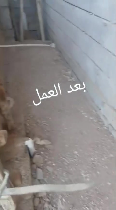 السلام عليكم
 عندك بناء وتحتاج عمال شغل مرتب و مصداقيه 
- تصفيط بادلو 
- تنظيف البيت من الانقاض
- توزيع مواد داخل البيت 
- صب دنك او قسطل 
-بناء قسطل لبخه 
-تقشيط جدران 
صب ارضية بيت 
صب رمبه باب الكراج 
خابر ودلل 

***********  واتساب 

***********
