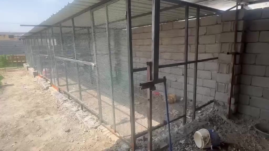 السلام عليكم اقفاصه 2 للبيع
