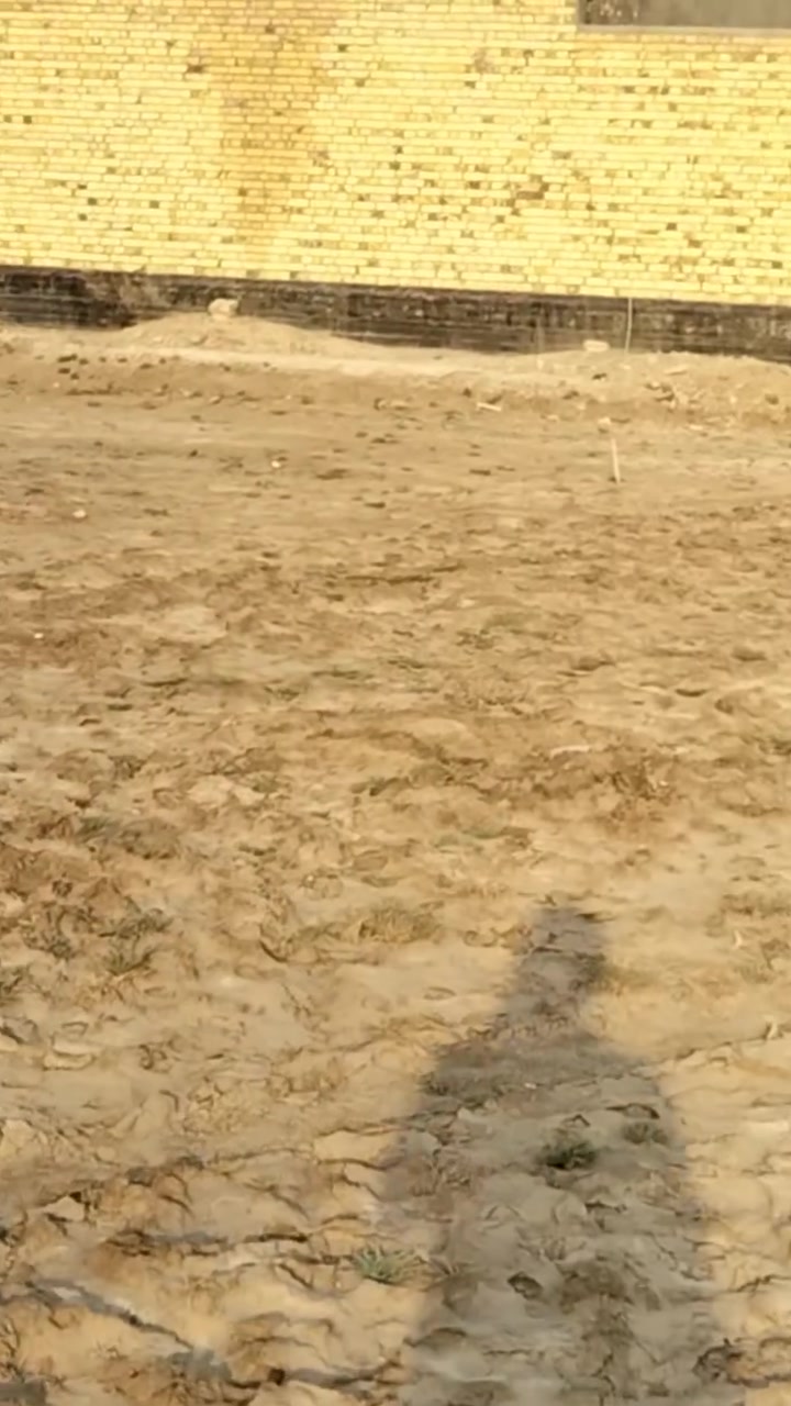 أرض • ماكو تفاصيل • موقع غير محدد