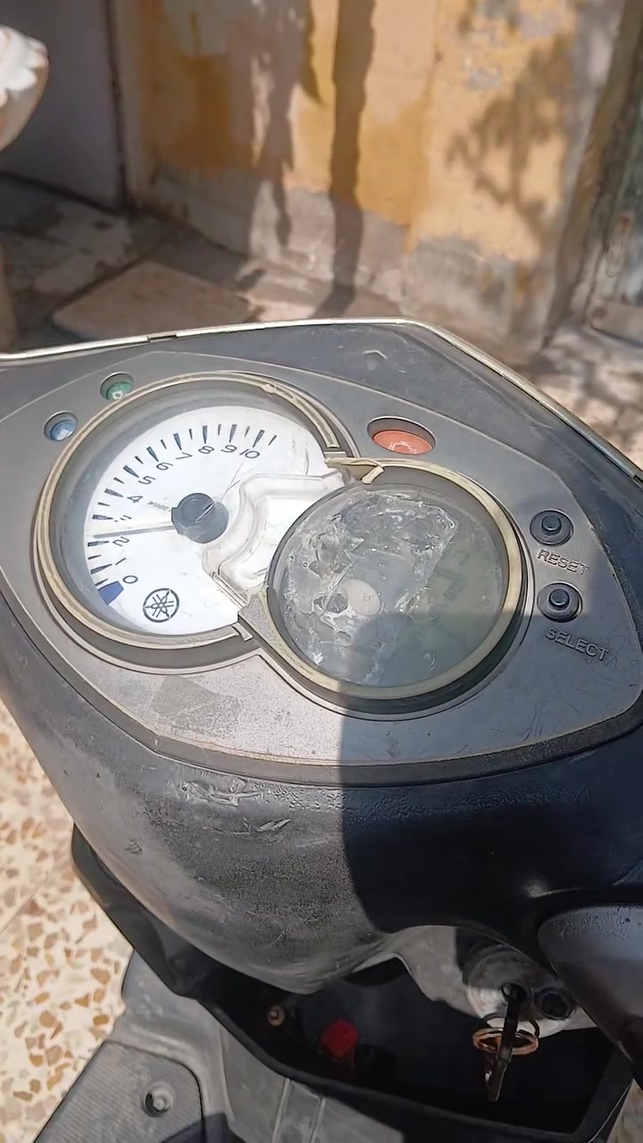 سكنس فحل • نوزل كوري • سلف كهربائي