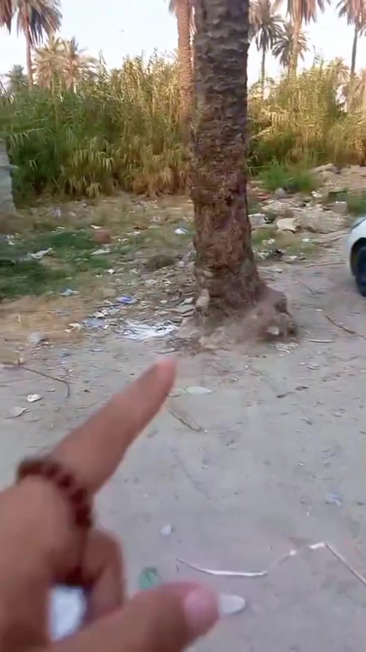 قطعه البيع مساحته ١٠٠ متر وبيه ٢٥ متر بضهرك زايده الك  ضهر الكاع سياج مال شقق ستي 

 عنواد الدوره زراعي العبيدي شارع امول دوره   مقابيل شارع 

الوادي  طابو زراعي سند ٢٥ تحويل مباشر بسم المشتري ستفسار 

تصال ***********
