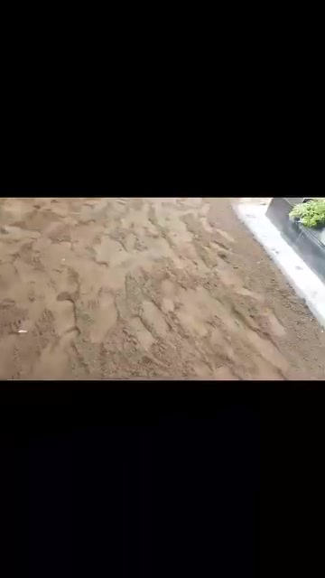 حديقة جاهزة • يوم واحد • تقليم اشجار
