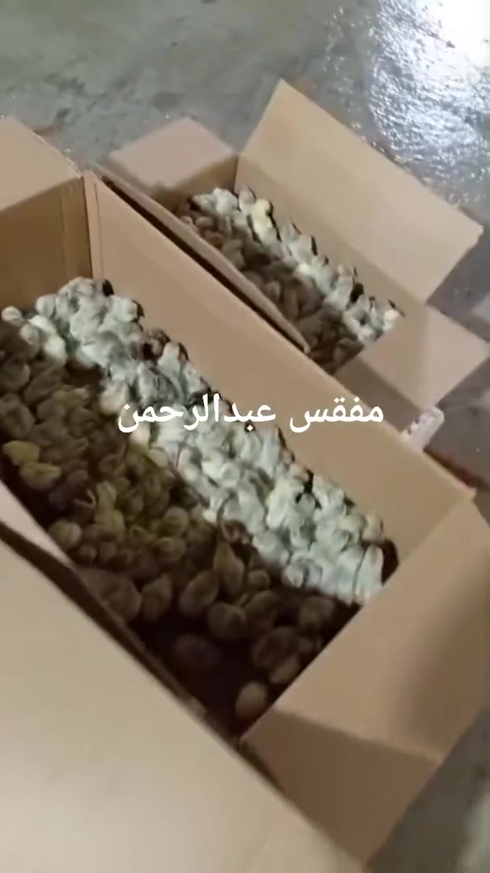 متاح افراخ فيومي المنيوم عند استاذ مهدي
الزوج يريدة ٧الاف مكانة رشيدية الي يحب يشتري قريب منة يتواصل معة او يخابرة بالتوفيق الجميع ***********

