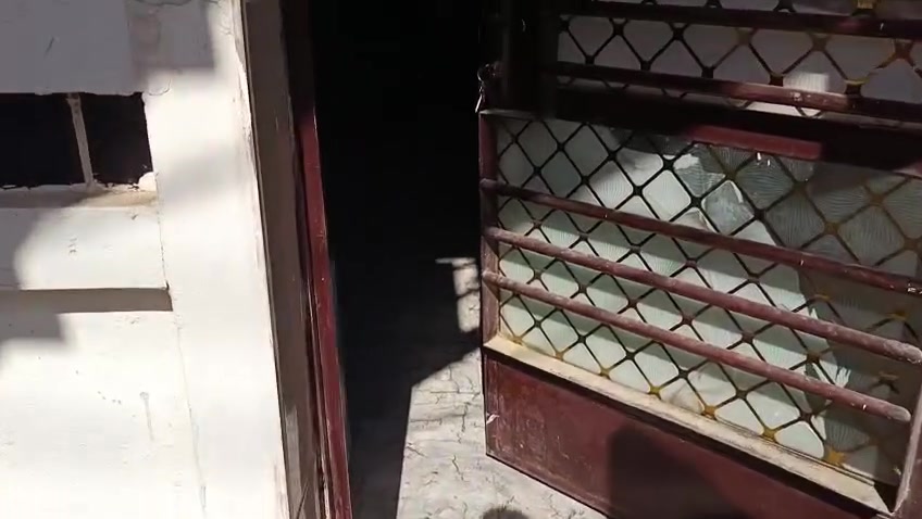 بيت زراعي سند ٢٥ هور رجب شار وحدة الجميلي قرب شارع الاذاعة البيت كما موضح بالفيديو مرتب السعر ٧٥مليون وبي مجال لشراي لتواصل ***********
