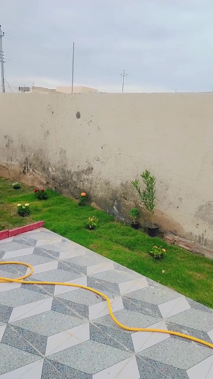 سلام عليكم
عقار للبيع طابق واحد ركن في الشراكية مجمع بوابة المثنى 
المساحة ٢٢٠ متر مربع 
كراج مساحته ٨٥ متر 
استقبال مساحته ٥x٦ مع حمام خارجي
صالة مساحتها ٦x٤
مطبخ مساحته ٥x٤
موزع مساحته ٣x٦
غرفتين مساحتهن ٦x٤
(صحيات) حمام داخلي مع تواليت داخلي..
مناور عدد اثنين 
كهرباء وماء وانترنيت واصل وخير من الله 
البيت جاهز وما ناقصه بس تكعد بي.
السعر ٣٥ بيد البائع 
١١٦ مليون مطلوب للمصرف العقاري

رقم الهاتف/ واتساب فقط
***********
