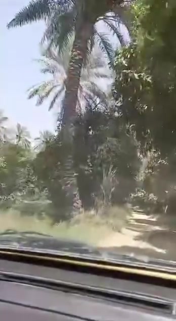 بستان بعرب جبور دونمين الة ربع واصلة مي سقي محولة براس سدة مخصصة للبستان بس تسحب بظهر شاليهات يحتوي على نخيل وحمضيات سند ٢٥ احولك باسمك

للاستفسار الاتصال ***********
