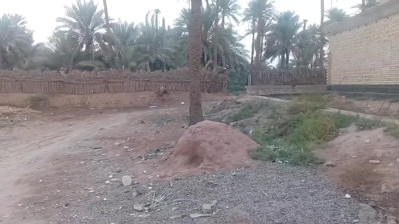 كربلاء طويريج • ٢٠٠م • سند ٢٥