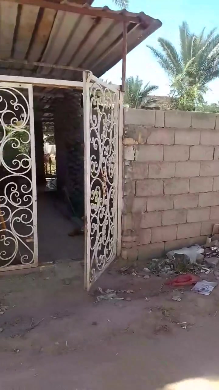 خلف جامعة العميد
طابو زراعي سند 25
أرض مساحة 550متر واجهه 15متر ونص
نزال 39 
تحتوي على اشجار ونخيل
السعر 250 مليون 
***********
