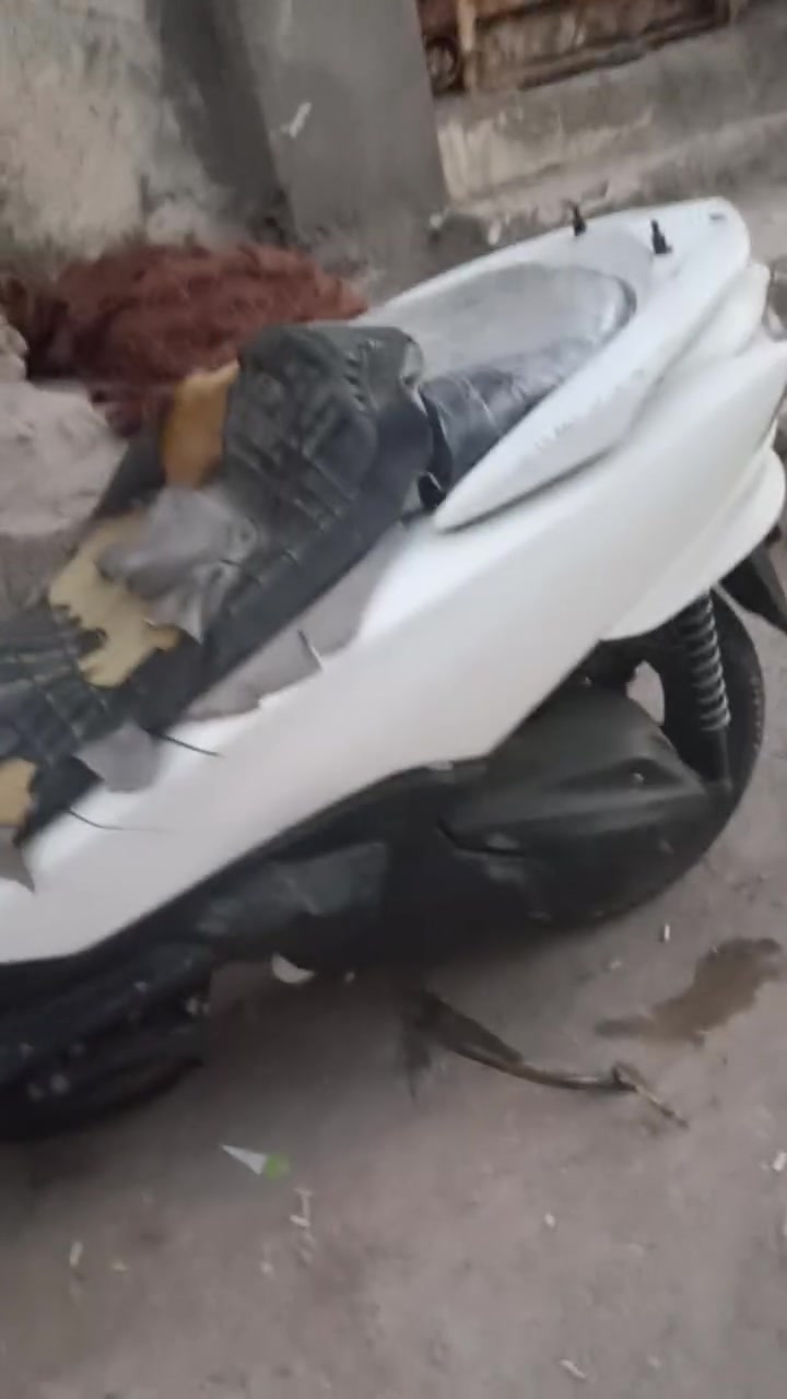 فورزه للبيع سعر 600 وبيها مجال 
رقم***********
