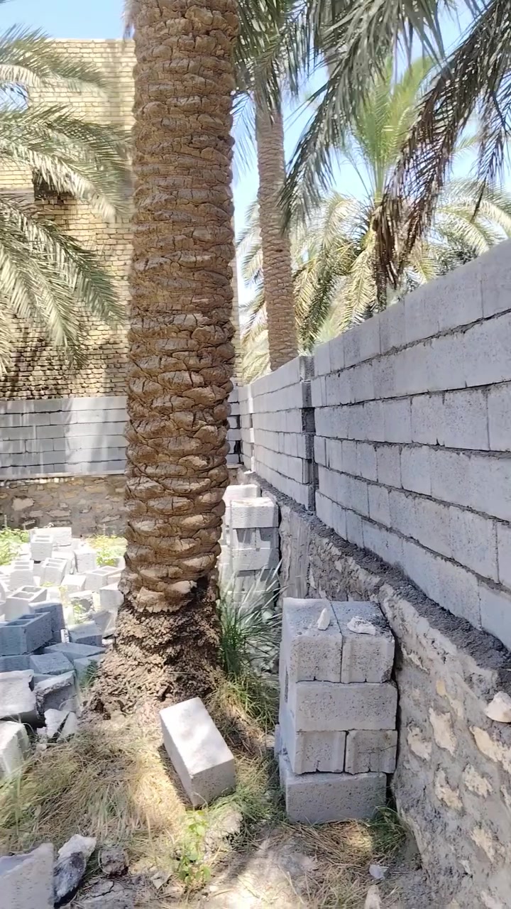 شغل حسب الطلب يوميا مكطوعه كرسته وعمل ***********
