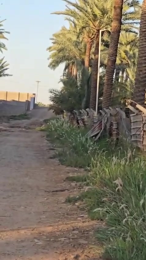 السلام عليكم بستان اللبيع المساحة دونم وربع سند 25 تحويل بأسم المشتري ماء سقي وماء اسأله وكهرباء المكان بغداد السياحي على السدة التبليط تبعد عن الشارع العام 300 متر  الاستفسار على الرقم ***********
