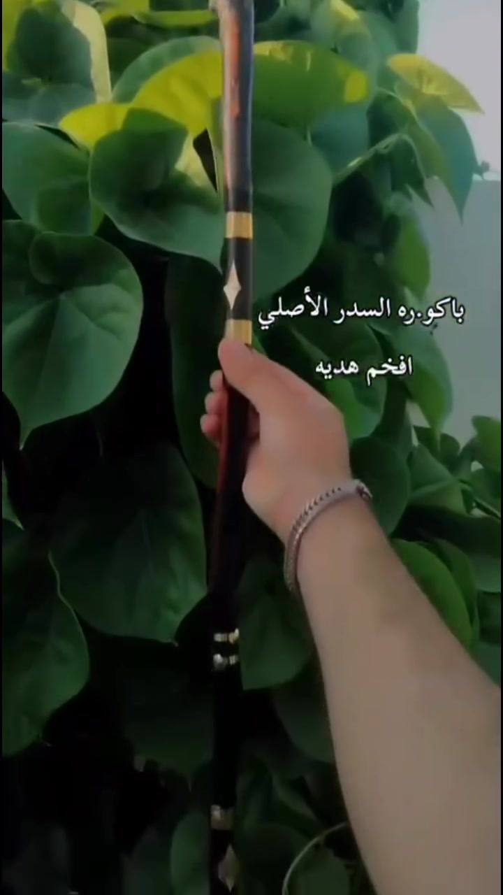 ---

✨ *باكورة السدر الأصلي - أفخم هدية* ✨

💎 *المواصفات:*
🔹 خشب سدر أصلي درجة أولى  💪
🔹 الراس مرصع كرستال لامع يلمع بالشمس ✨
🔹 قبضة جلد طبيعي لون أزرق مريحة باليد 🤚
🔹 حلقات نحاس أصلي مطعمة بالخشب 👑
🔹 طول مثالي وشغل يدوي متقن 100% 🪵

🎁 ترهم هدية فخمة للشيخ

🚚 *يوجد توصيل لكل العراق 🇮🇶*
💵 الدفع عند الاستلام أو عبر الماستر كارد 💳

🙏 تابع الحساب فضلاً وليس أمراً ❤️

#باكورة #سدر #هدايا_فخمة #
