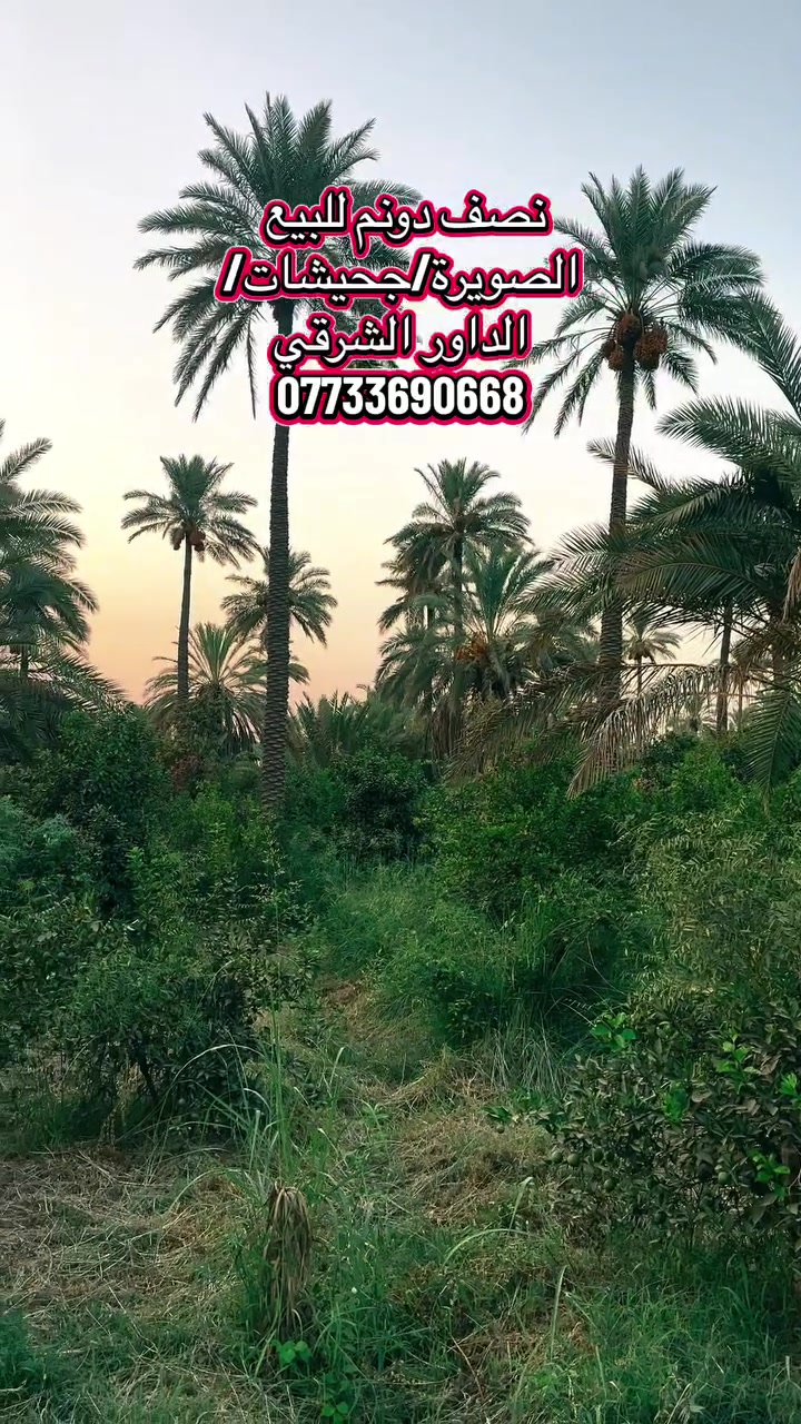 فرصة استثمارية جميلة  في الصويرة نصف دونم للبيع شجيرية الداور الشرقي ✅التفاصيل في الفديو 👇

***********
