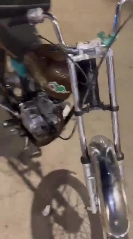 سيجي • مرخصت • نامه
