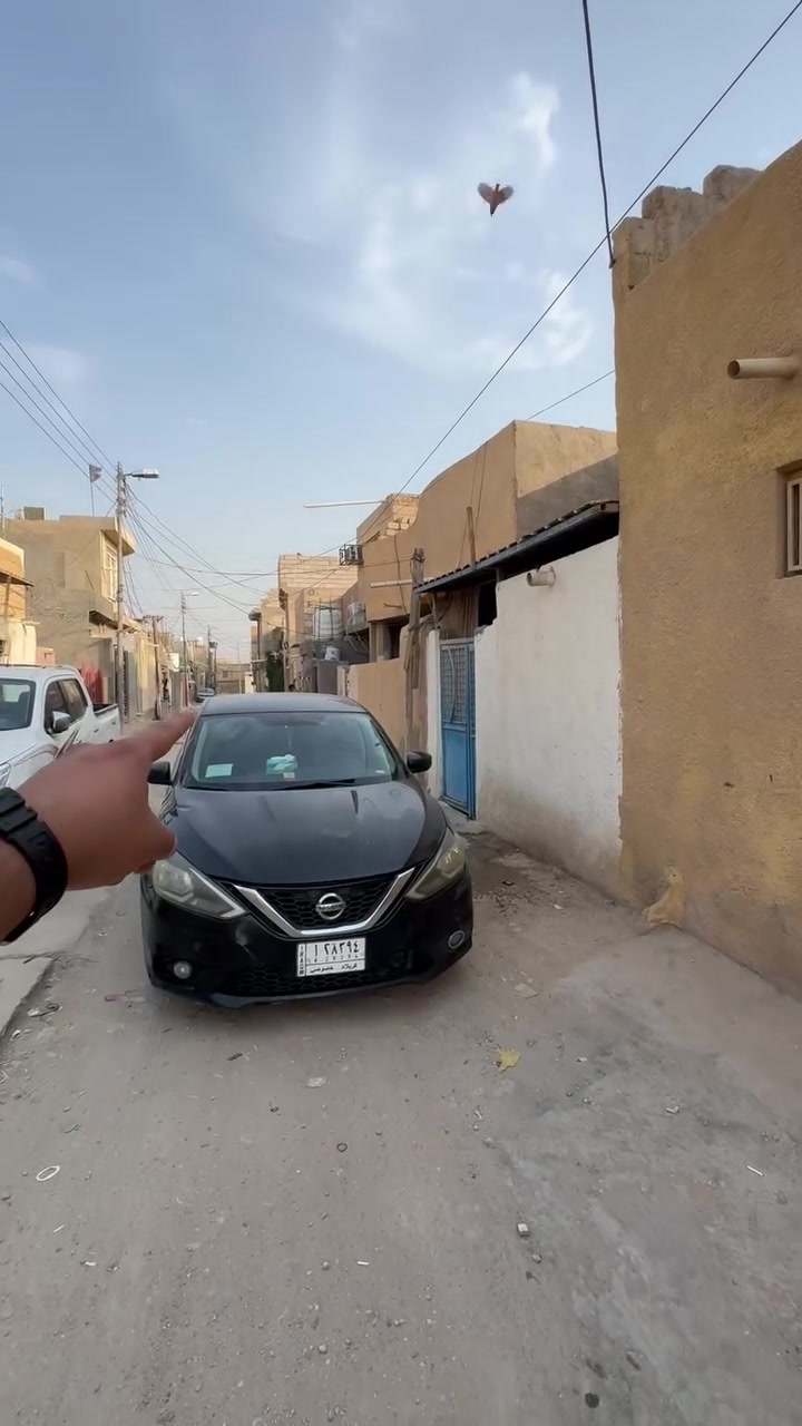كربلاء الحر • ٥٠م • طابو سند ٢٥