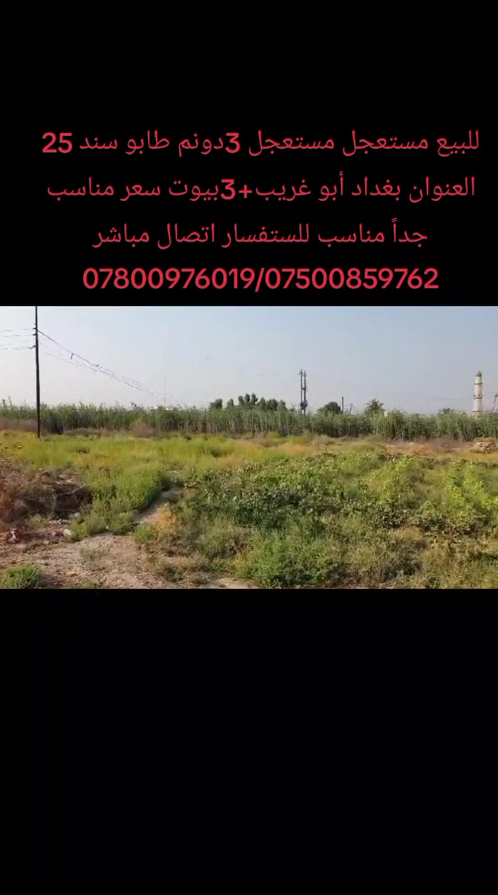 لا توجد تفاصيل
