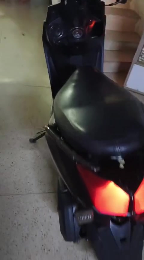 سكنس جبلي • سلف • مكفوله