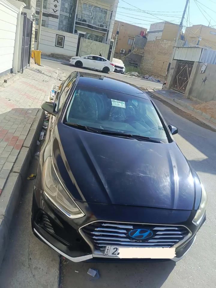 سوناتا • ٢٠١٨ • كربلاء