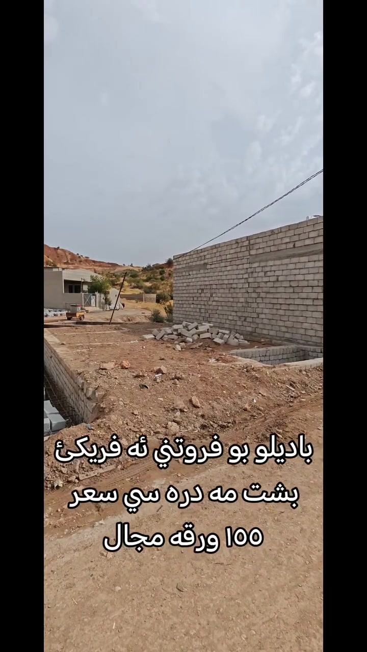 أرض • بس رقم