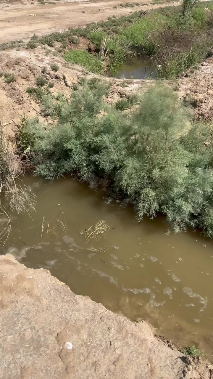 يعلن مكتب بركات العقيلة للعقار في منطقة الجمالية عن وجود عروض مناسبه دوانم وقطع سكنية وزراعية سند ٢٥ في جميع مناطق قضاء الحر سواده الحر الصغير والجمالية ومنطقة مصليخ ومقاطعة الكرطه الاسعار حسب موقع الدونم والخدمات للاستفسار 
عنوان المكتب كربلاء الحر الجمالية قبل ماتوصل شركة كآله هاتف ***********
والله ولي التوفيق
