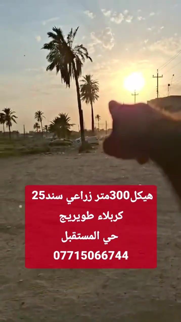 هيكل 300 متر  زراعي سند 25 
 كربلاء طويريج حي المستقبل 
***********
