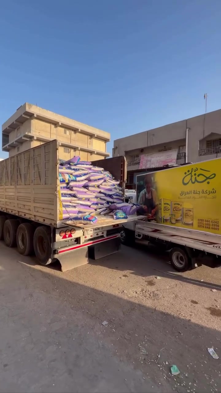 فاصوليا مصرية • درجة أولى • جنة_العراق