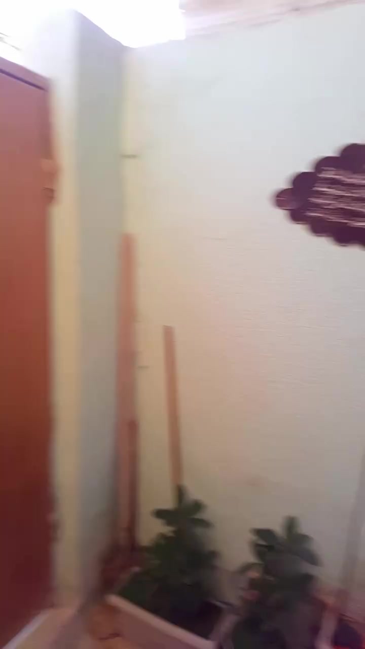 سلام عليكم 
عندي بيت بالحميديه قرب العمارة الخضره بالفرع 3 باب ابصفحت الاسواق جدو أبو كرار قاطين الأول صب مسلح والثاني اعكاده. رقم الهاتف *********** مساحته البيت 120 متر
