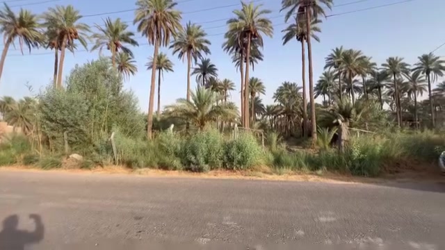 كربلاء الحسينيه • أرض • فيديو