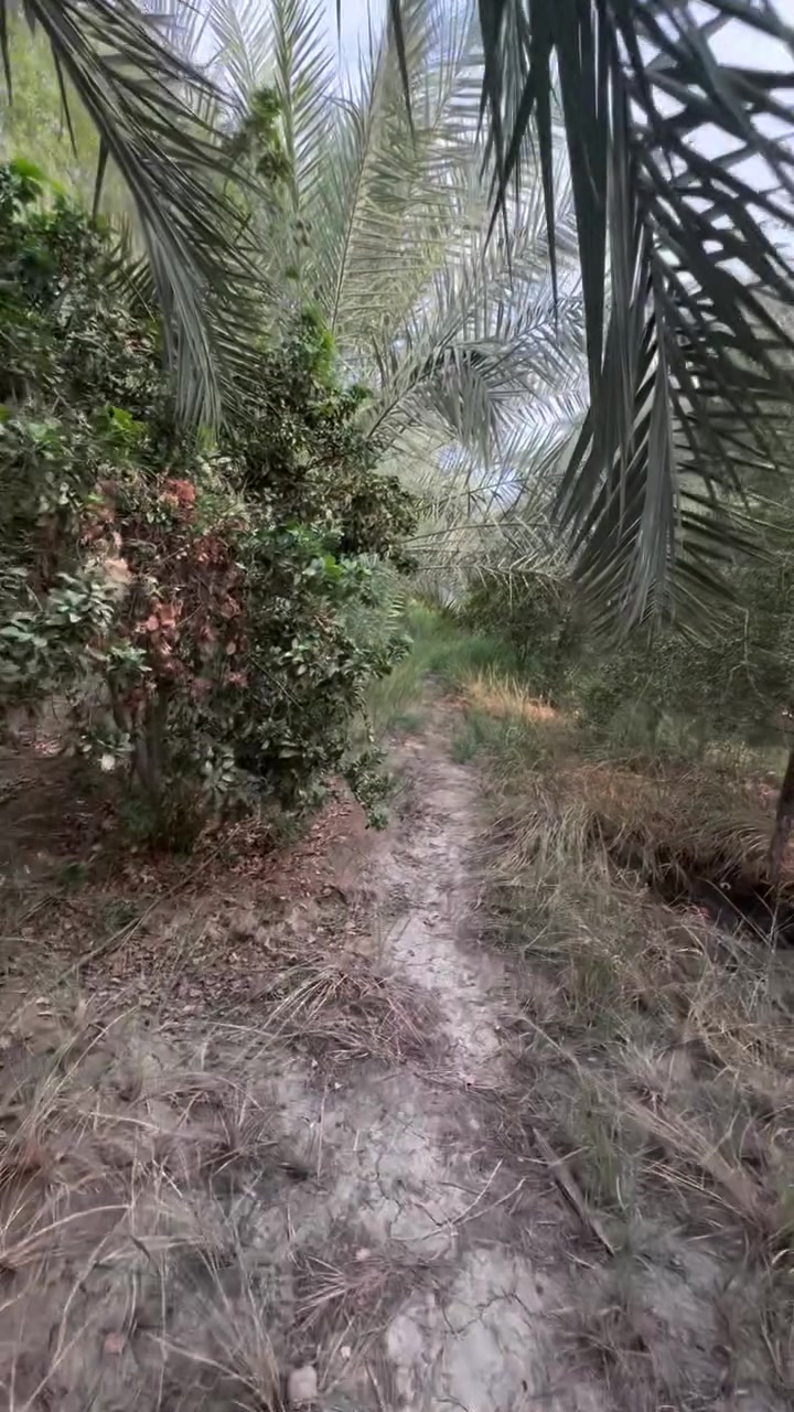 سند ٢٥ • ٢٤٠٠م • بيت ١٦٠م
