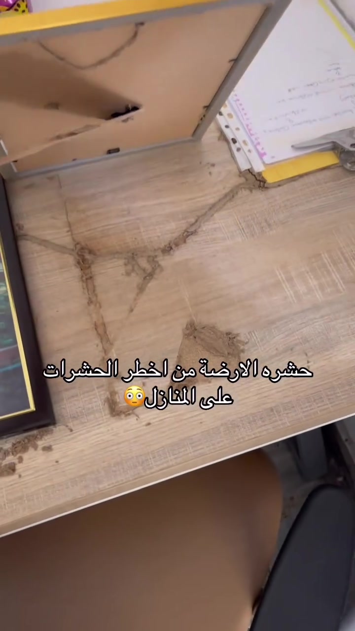 احم بيتك من خطر حشره الارضة قبل الدمار #حمايه المنازل من خطر حشره الارضة
 #مبيدات امنه على الصحه
 #ضمان في العمل يصل إلى اكثر من 5 سنوات 
 #متابعين
تواصل معنا وتخلص من حشره الارضه
***********
