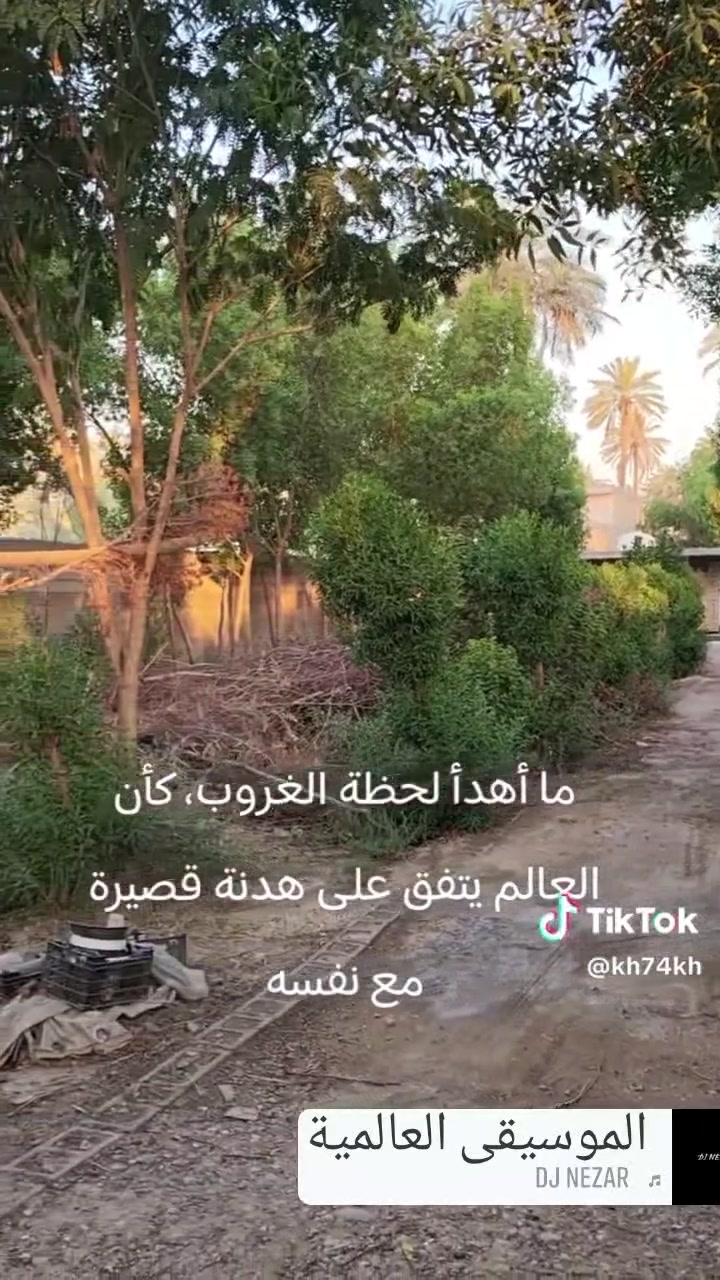 قبل الجسر الفرنسي نصف دونم ***********

