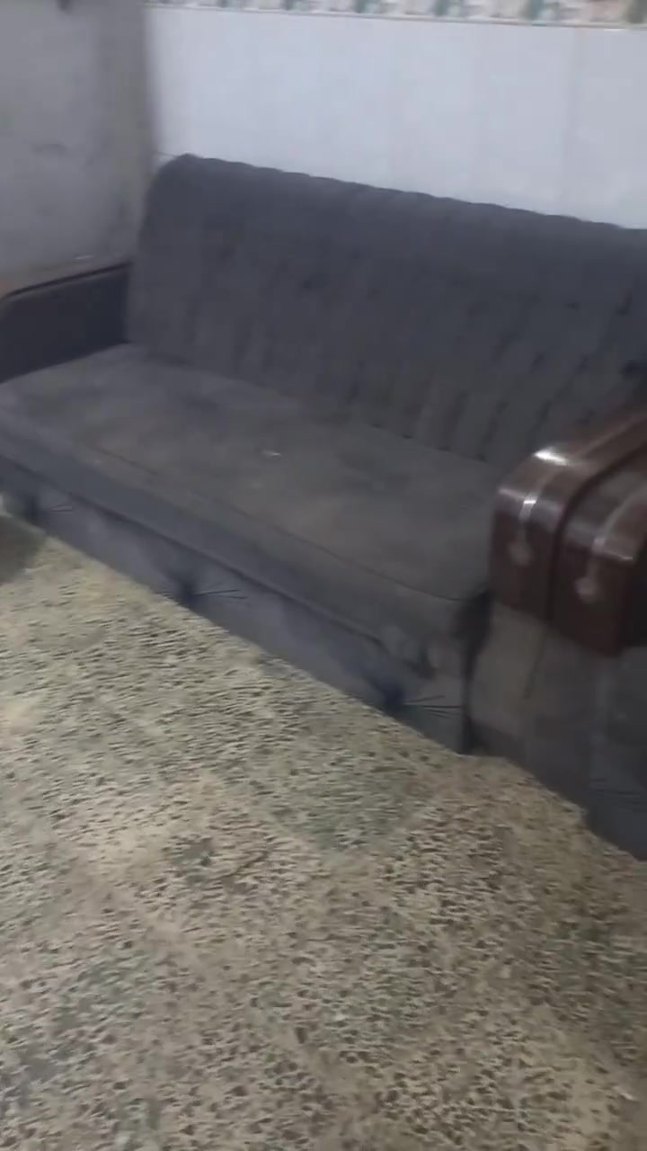 تخم • بغداد